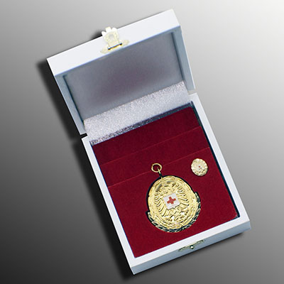 Custom Challenge Coin with box packed(029)