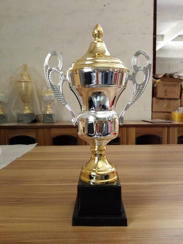 Metal trophy(stock or custom)(010)