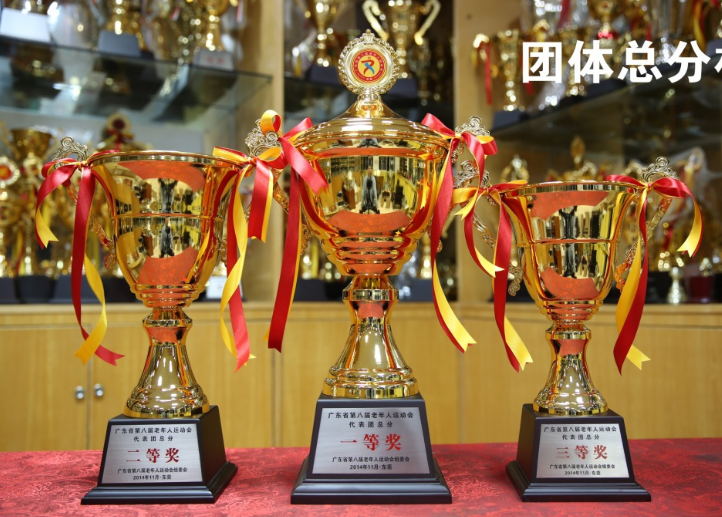 Metal trophy(stock or custom)(010)