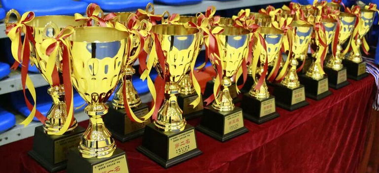 Metal trophy(stock or custom)(015)