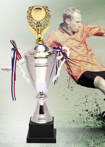 Metal trophy(stock or custom)(015)