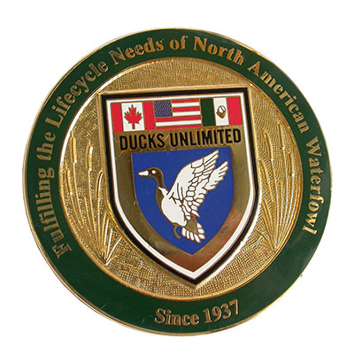 Imitation Hard Enamel Challenge Coin(022)